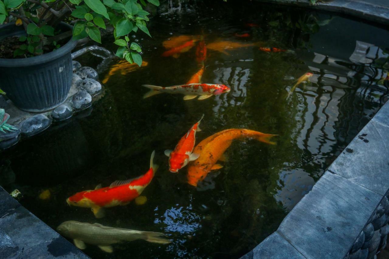 Sekar Waru Homestay Sanur Εξωτερικό φωτογραφία